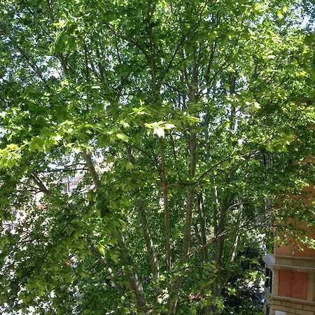 I Platani Feriehus